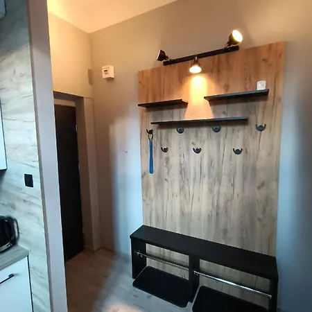 Apartament Flins Z Garazem Świeradów-Zdrój Exteriér fotografie