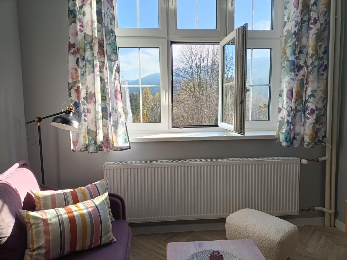 Flins Z Garazem Apartment Swieradow-Zdroj