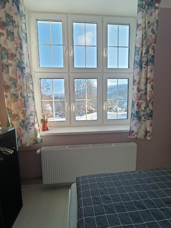 Flins Z Garazem Apartment *