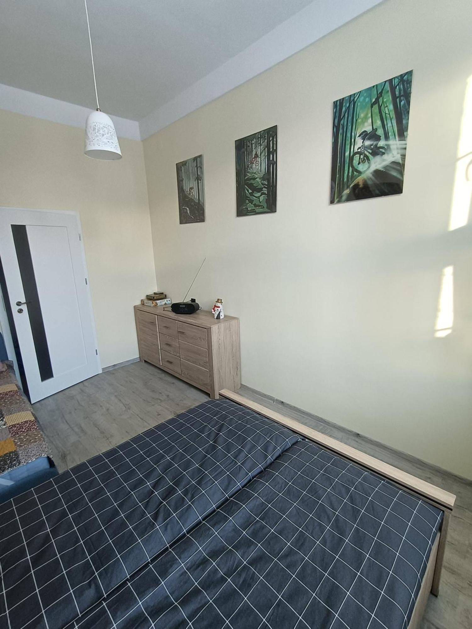 Flins Z Garazem Apartment Swieradow-Zdroj